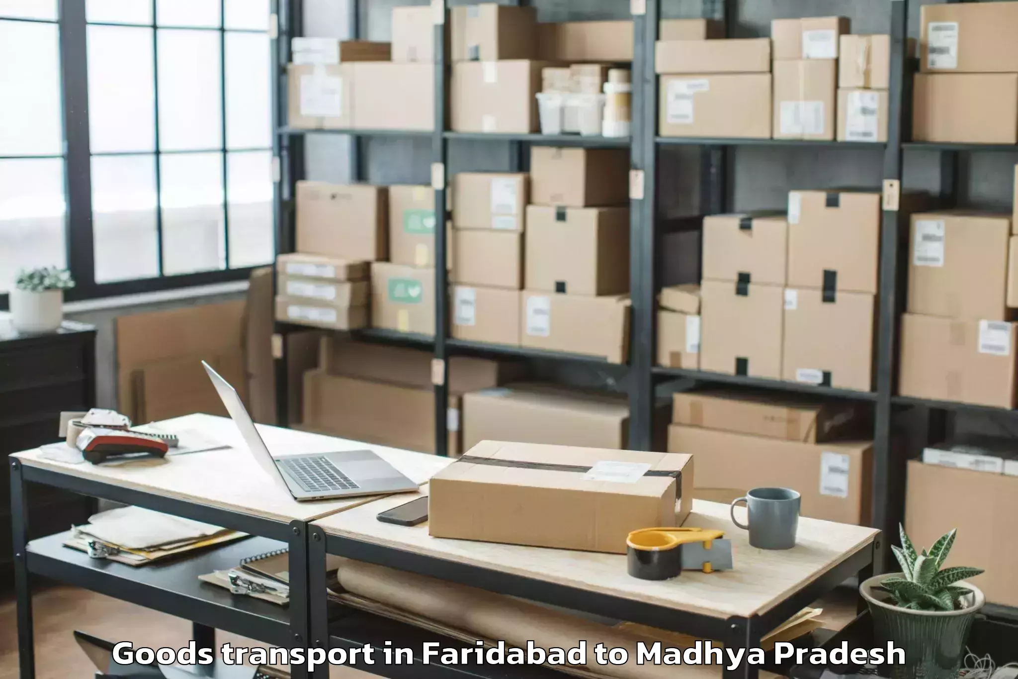 Book Faridabad to Dabra Pichhore Goods Transport Online